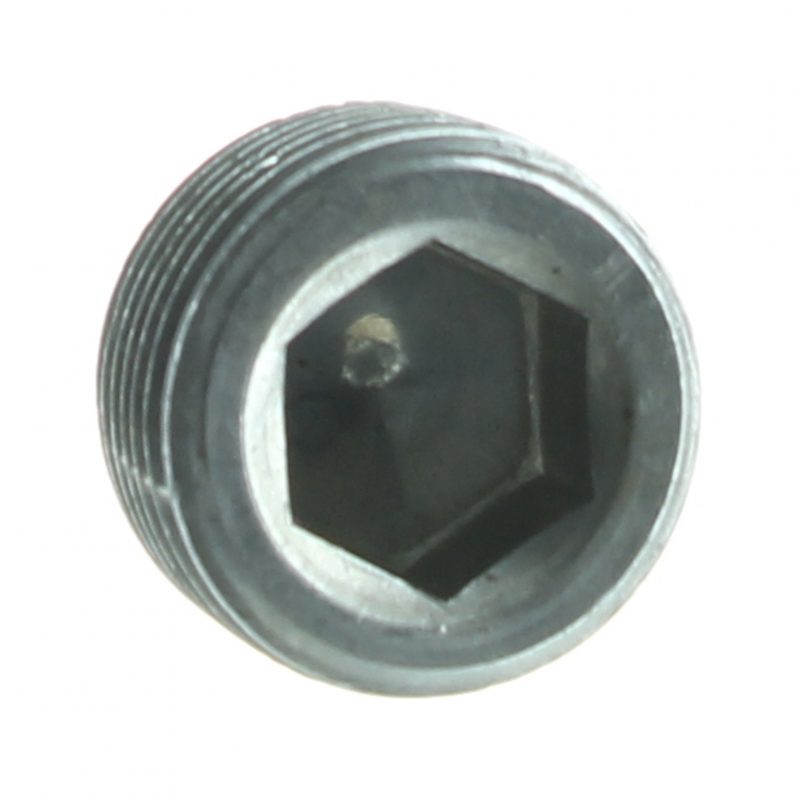 SCH 3/4" Plug - PV06534-01