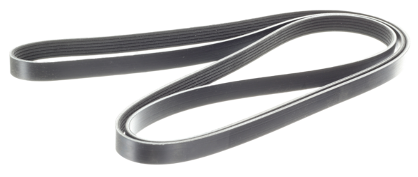 Stern Drive Belt