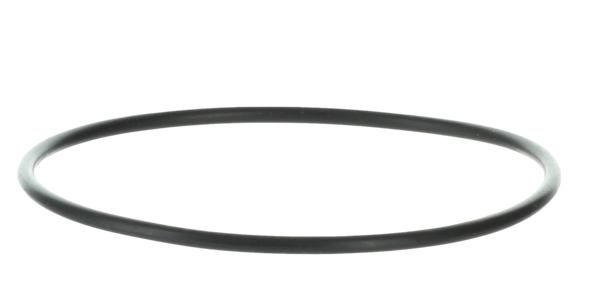 Sea Strainer Lid O-Ring